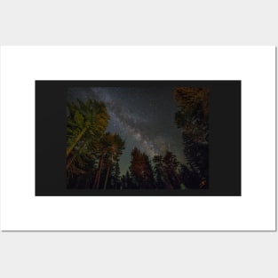 The Milky Way through the Pines Posters and Art